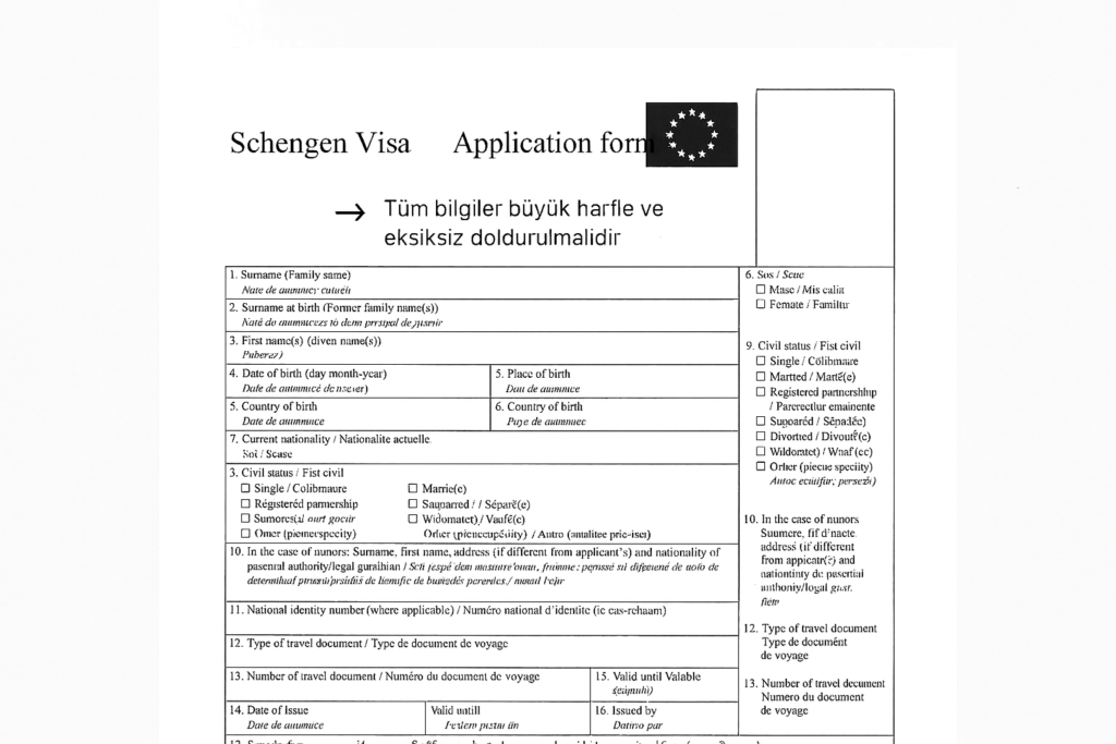 schengen vize basvuru formu doldurma ornegi