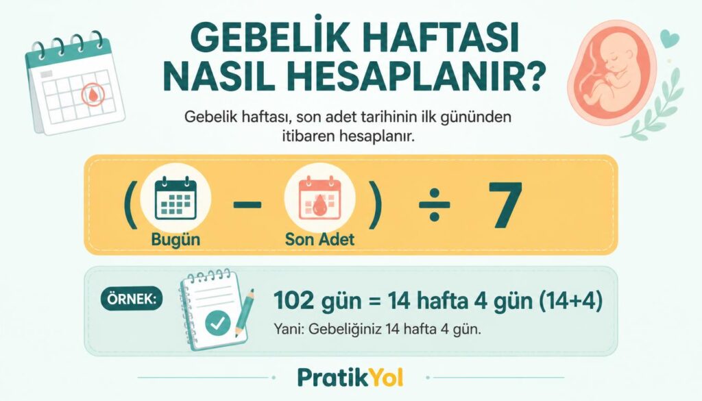 gebelik hafta son adet gün