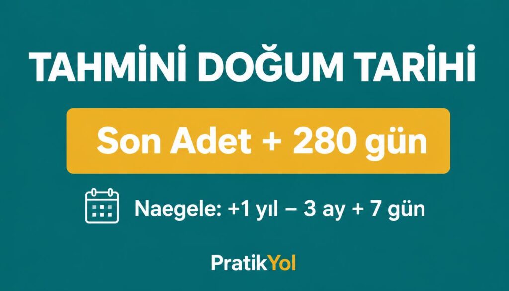tahmini doğum tarihi 280 gün naegele