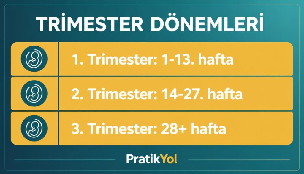 trimester 1 2 3 hafta