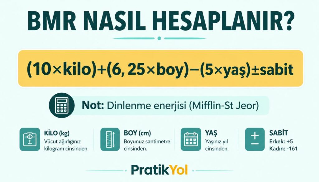 BMR Mifflin formül dinlenme enerji