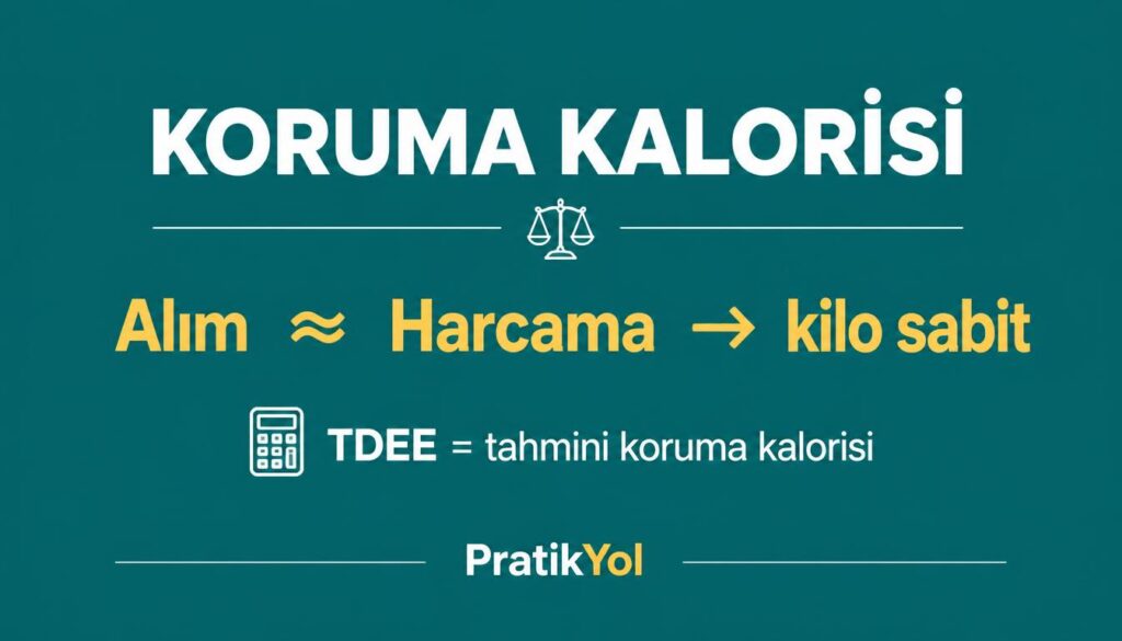 koruma kalorisi TDEE