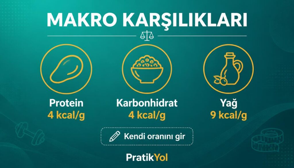makro protein karbonhidrat yağ
